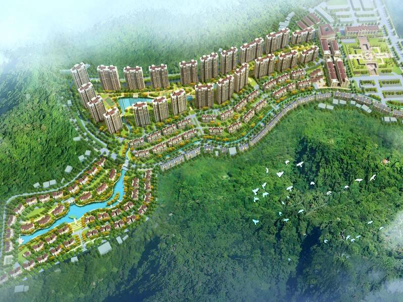 实景图