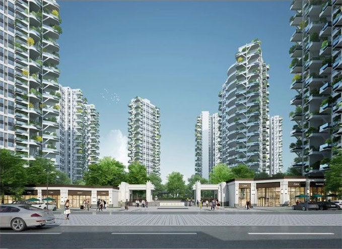 实景图