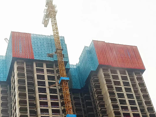 1773644906512162.jpg 11.jpg